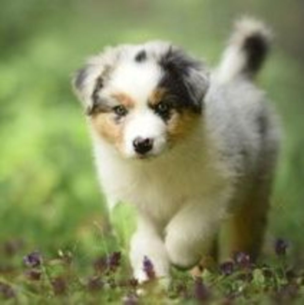 Meet your Posher, Alexis